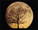A photo of a large tree backlight by the rising moon.